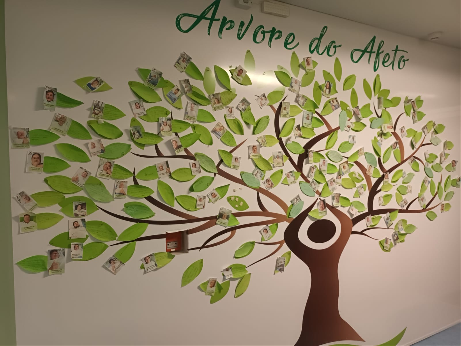 PROJETO Árvore do Afeto